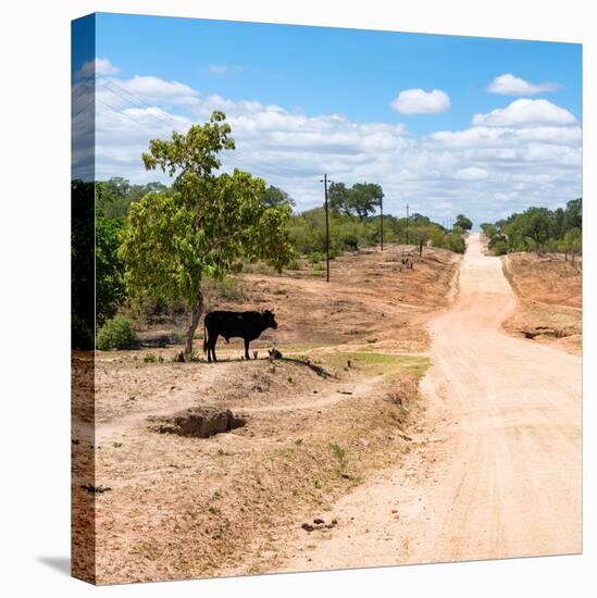 Awesome South Africa Collection Square - Road in the African Savannah-Philippe Hugonnard-Stretched Canvas