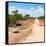 Awesome South Africa Collection Square - Road in the African Savannah-Philippe Hugonnard-Framed Stretched Canvas