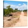 Awesome South Africa Collection Square - Road in the African Savannah-Philippe Hugonnard-Stretched Canvas