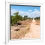 Awesome South Africa Collection Square - Road in the African Savannah-Philippe Hugonnard-Framed Photographic Print