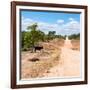 Awesome South Africa Collection Square - Road in the African Savannah-Philippe Hugonnard-Framed Photographic Print