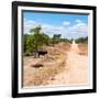 Awesome South Africa Collection Square - Road in the African Savannah-Philippe Hugonnard-Framed Photographic Print