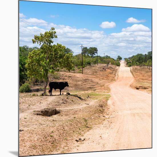 Awesome South Africa Collection Square - Road in the African Savannah-Philippe Hugonnard-Mounted Photographic Print