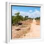 Awesome South Africa Collection Square - Road in the African Savannah-Philippe Hugonnard-Framed Photographic Print