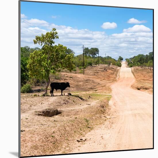 Awesome South Africa Collection Square - Road in the African Savannah-Philippe Hugonnard-Mounted Photographic Print