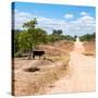 Awesome South Africa Collection Square - Road in the African Savannah-Philippe Hugonnard-Stretched Canvas