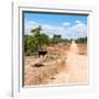 Awesome South Africa Collection Square - Road in the African Savannah-Philippe Hugonnard-Framed Photographic Print