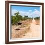 Awesome South Africa Collection Square - Road in the African Savannah-Philippe Hugonnard-Framed Photographic Print