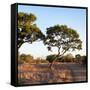 Awesome South Africa Collection Square - Safari Road at Sunrise-Philippe Hugonnard-Framed Stretched Canvas