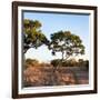 Awesome South Africa Collection Square - Safari Road at Sunrise-Philippe Hugonnard-Framed Photographic Print