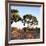 Awesome South Africa Collection Square - Safari Road at Sunrise-Philippe Hugonnard-Framed Photographic Print