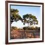 Awesome South Africa Collection Square - Safari Road at Sunrise-Philippe Hugonnard-Framed Photographic Print