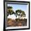 Awesome South Africa Collection Square - Safari Road at Sunrise-Philippe Hugonnard-Framed Photographic Print