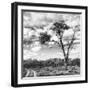 Awesome South Africa Collection Square - Safari Road B&W-Philippe Hugonnard-Framed Photographic Print