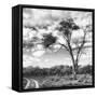 Awesome South Africa Collection Square - Safari Road B&W-Philippe Hugonnard-Framed Stretched Canvas