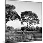 Awesome South Africa Collection Square - Safari Road-Philippe Hugonnard-Mounted Photographic Print