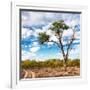 Awesome South Africa Collection Square - Safari Road-Philippe Hugonnard-Framed Photographic Print