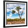 Awesome South Africa Collection Square - Safari Road-Philippe Hugonnard-Framed Photographic Print