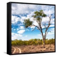 Awesome South Africa Collection Square - Safari Road-Philippe Hugonnard-Framed Stretched Canvas