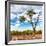 Awesome South Africa Collection Square - Safari Road-Philippe Hugonnard-Framed Photographic Print