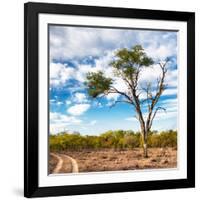 Awesome South Africa Collection Square - Safari Road-Philippe Hugonnard-Framed Photographic Print