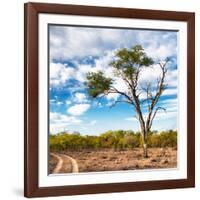 Awesome South Africa Collection Square - Safari Road-Philippe Hugonnard-Framed Photographic Print