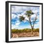 Awesome South Africa Collection Square - Safari Road-Philippe Hugonnard-Framed Photographic Print