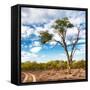 Awesome South Africa Collection Square - Safari Road-Philippe Hugonnard-Framed Stretched Canvas