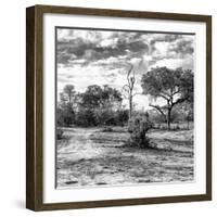 Awesome South Africa Collection Square - Savanna Landscape B&W-Philippe Hugonnard-Framed Photographic Print