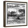 Awesome South Africa Collection Square - Savanna Landscape B&W-Philippe Hugonnard-Framed Photographic Print