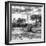 Awesome South Africa Collection Square - Savanna Landscape B&W-Philippe Hugonnard-Framed Photographic Print