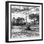 Awesome South Africa Collection Square - Savanna Landscape B&W-Philippe Hugonnard-Framed Photographic Print