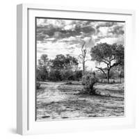 Awesome South Africa Collection Square - Savanna Landscape B&W-Philippe Hugonnard-Framed Photographic Print