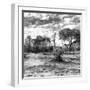 Awesome South Africa Collection Square - Savanna Landscape B&W-Philippe Hugonnard-Framed Photographic Print