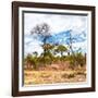 Awesome South Africa Collection Square - Savanna Landscape II-Philippe Hugonnard-Framed Photographic Print