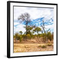 Awesome South Africa Collection Square - Savanna Landscape II-Philippe Hugonnard-Framed Photographic Print