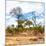 Awesome South Africa Collection Square - Savanna Landscape II-Philippe Hugonnard-Mounted Photographic Print