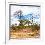 Awesome South Africa Collection Square - Savanna Landscape II-Philippe Hugonnard-Framed Photographic Print