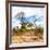 Awesome South Africa Collection Square - Savanna Landscape II-Philippe Hugonnard-Framed Photographic Print