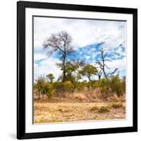 Awesome South Africa Collection Square - Savanna Landscape II-Philippe Hugonnard-Framed Photographic Print