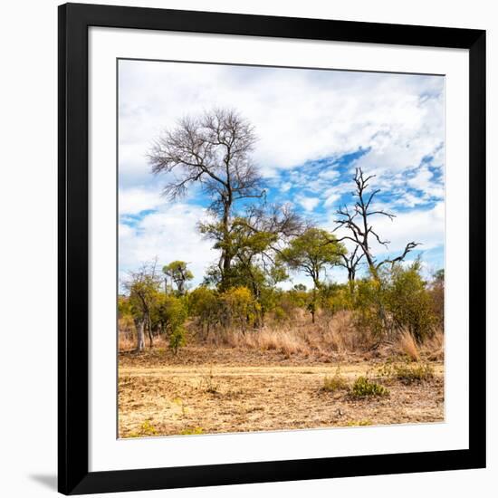 Awesome South Africa Collection Square - Savanna Landscape II-Philippe Hugonnard-Framed Photographic Print