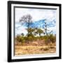 Awesome South Africa Collection Square - Savanna Landscape II-Philippe Hugonnard-Framed Photographic Print