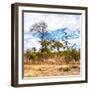 Awesome South Africa Collection Square - Savanna Landscape II-Philippe Hugonnard-Framed Photographic Print