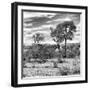 Awesome South Africa Collection Square - Savanna Landscape III B&W-Philippe Hugonnard-Framed Photographic Print