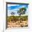 Awesome South Africa Collection Square - Savanna Landscape III-Philippe Hugonnard-Framed Photographic Print