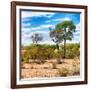 Awesome South Africa Collection Square - Savanna Landscape III-Philippe Hugonnard-Framed Photographic Print