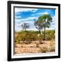 Awesome South Africa Collection Square - Savanna Landscape III-Philippe Hugonnard-Framed Photographic Print