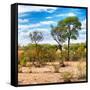 Awesome South Africa Collection Square - Savanna Landscape III-Philippe Hugonnard-Framed Stretched Canvas