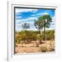 Awesome South Africa Collection Square - Savanna Landscape III-Philippe Hugonnard-Framed Photographic Print