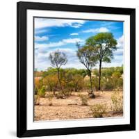 Awesome South Africa Collection Square - Savanna Landscape III-Philippe Hugonnard-Framed Photographic Print